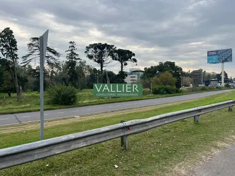 Terreno en Venta de 40000,0 m2