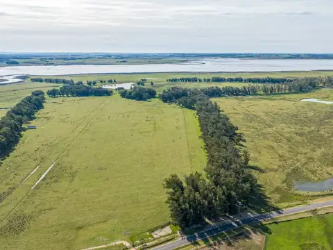 Chacra en venta de 39 Has. sobre arroyo José Ignacio