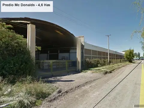 Alquilo predio sobre Ruta 22 - Galpon 2000 m2 - Cipoletti