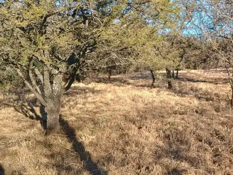 TERRENO  EN VILLA LA BOLSA CERCA DEL RIO EN  CÓRDOBA