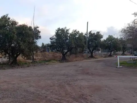 Roque Saenz Peña , Piso 0