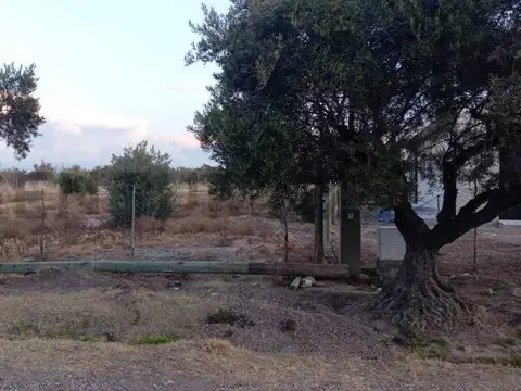 Terreno en Venta en Vistalba, USD 55.000