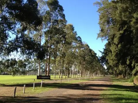 Barrio Cerrado Santo Tomas 100