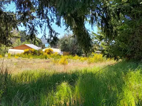 Los Pinguinos y Las Gaviotas