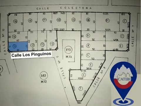 Los Pinguinos y Las Gaviotas