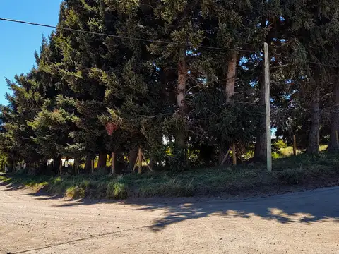 Lotes en PH en venta. Los Pinguinos y Las Gaviotas. Dina Huapi