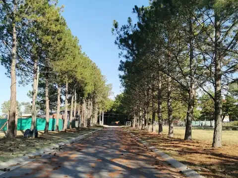 Terreno en Venta de 375,0 m2