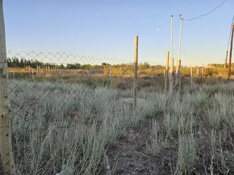 Terreno en Venta en Senillosa, $ 12.500.000