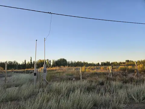 Terreno en Venta 33  mts Fondo