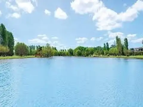 Consultar dirección