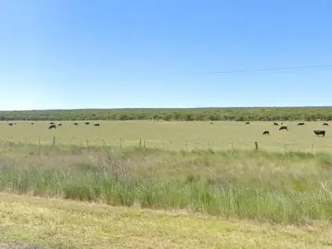 Campo en venta - 10.000.000Mts2 - General Acha