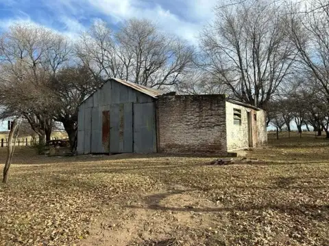 Campo en venta - 10.000.000Mts2 - General Acha