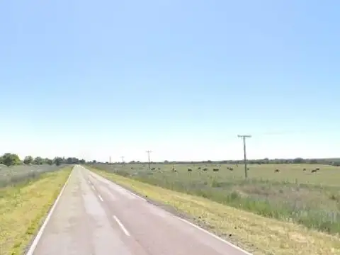 Campo en venta - 10.000.000Mts2 - General Acha