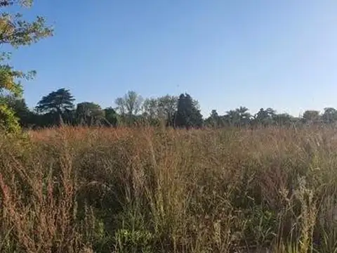 Terreno en venta - 300Mts2 - Loma Verde