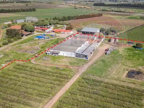 Galpon en Venta 51 años