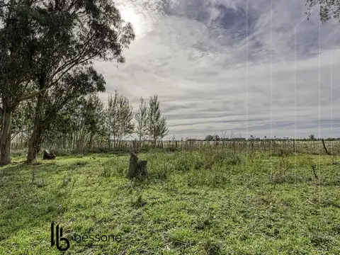 San Francisco al 500