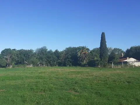 Terreno en Venta en Villa Elisa, USD 59.000