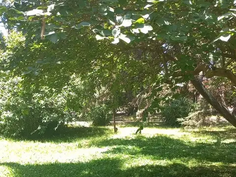 Terreno en Venta de 460,0 m2