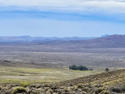 Excelente campo productivo - Gobernador Costa - Chubut