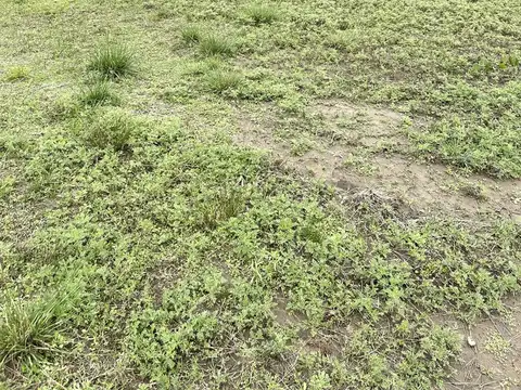 Lote Interno UF 437, a la Laguna.  El Cantón Islas .