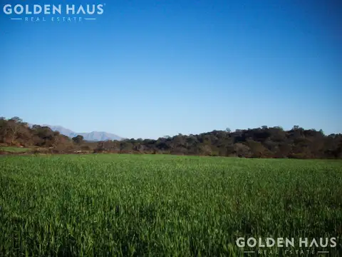 Campo en  Campo Mixto - 7200 Has - Metan, Salta - Argentina.