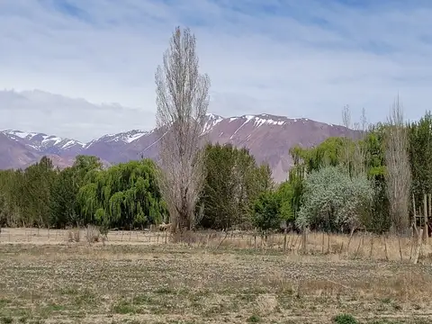 Uspallata área urbana