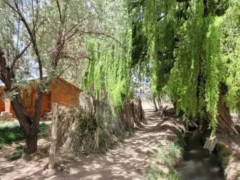 2 Hectáreas y 1/2 - 24800m2 + Casa Prefabricada y construcción adicional. Luz, agua potable, riego.