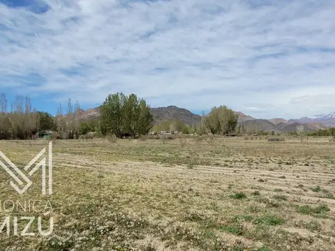 Campo en Venta con Alambrado