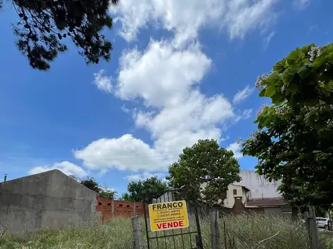 Santa Maria de Oro 900