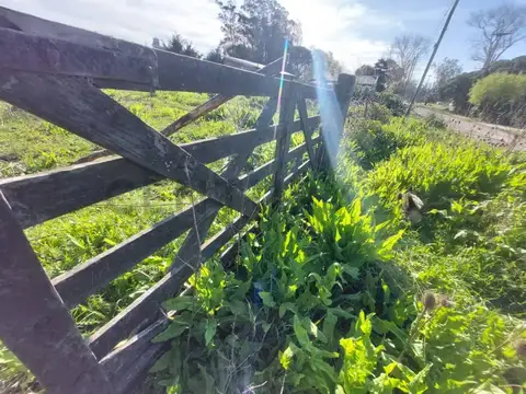 LOTE EN BARRIO PARQUE PEÑA MAR DEL PLATA F. 67071