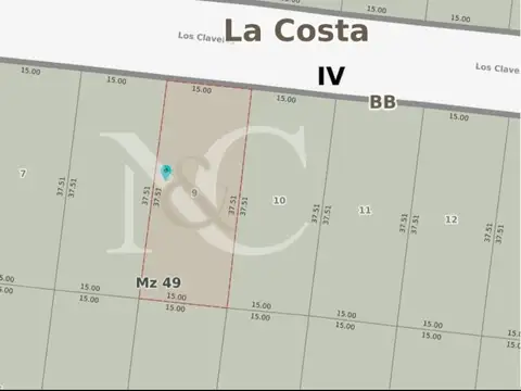 Los Claveles y Madre Selva