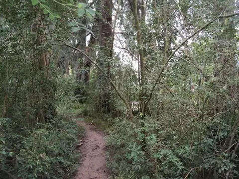 Terreno. 20 metros de frente.Rio Capitan.Delta de Tigre