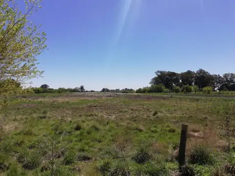 PROPIEDADES RURALES - INDUSTRIALIZACION - EXALTACIÓN DE LA CRUZ