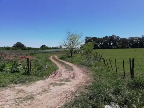 Zona Carlos Lemme 600