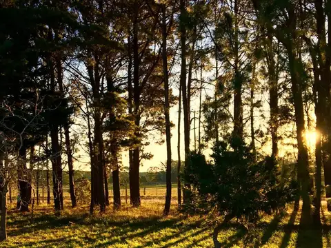 Terreno en Venta de 2085,0 m2