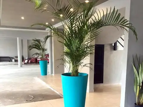 San Lorenzo 2440 1° G, Olivos