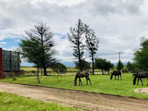 VENTA DE LOTE EN LA FLORIDA - FINANCIADO