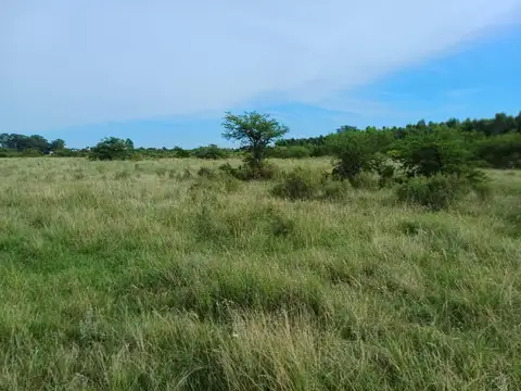 Campo 23.79 has a 7km ruta 14