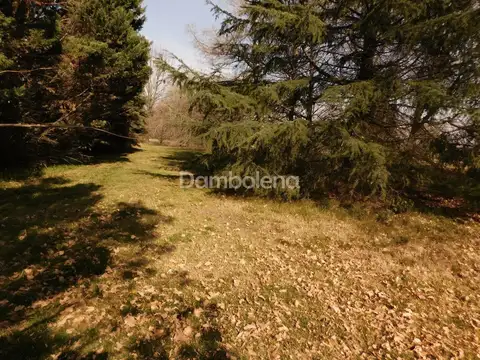 Country Haras San Pablo - General Rodriguez 100