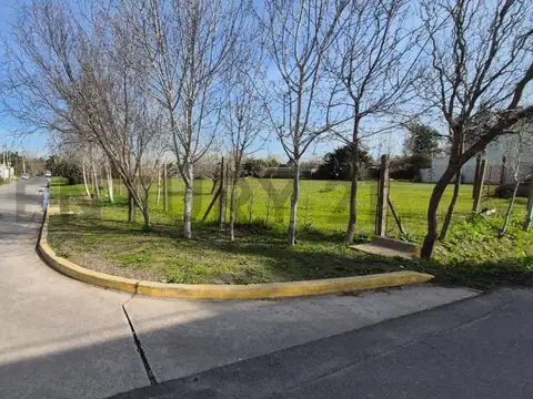 496 ENTRE 8 Y 9 , Piso 0