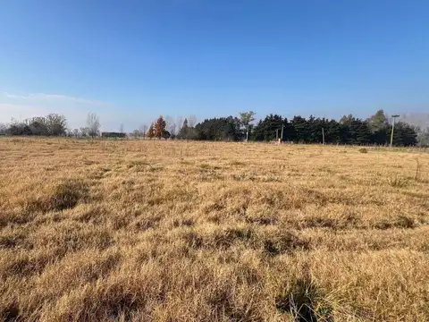 Quinta en Venta de 3 dormitorios