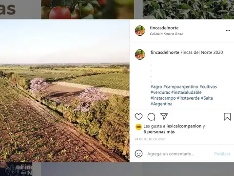 av, de los inmigrantes 1000