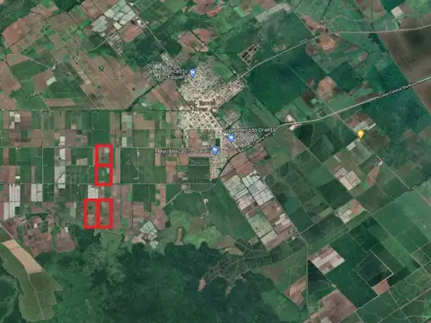 av, de los inmigrantes 1000