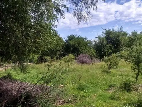 Consultar dirección