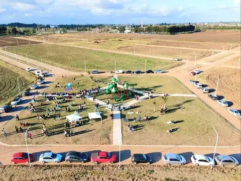 Terreno en Venta de 250,0 m2