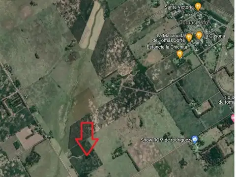 Venta de 11,6 hectareas en Tomas Jofre! Con Arboleda!