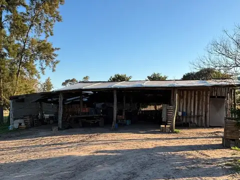 Chacra en Colonia 18 de Julio, Salto