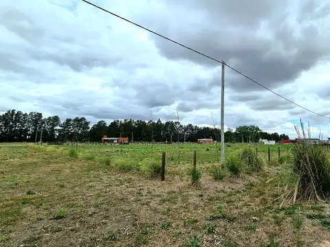 Terreno en Venta 40  mts Fondo