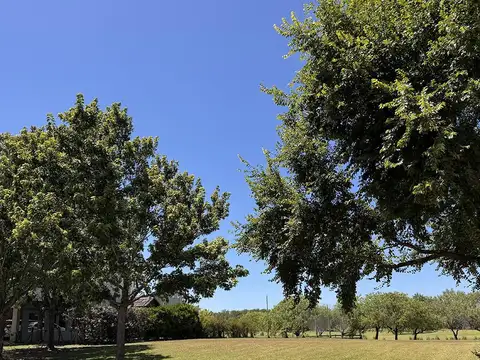 Terreno en Venta 36  mts Frente