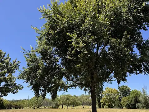 Terreno en Venta en Estancias Del Pilar, USD 250.000